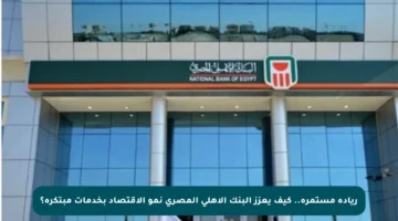 ريادة مستمرة.. كيف يعزز البنك الأهلي المصري نمو الاقتصاد بخدمات مبتكرة؟